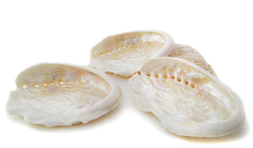 3 St Abalone Muschel 6 cm Lang Seifenschale echte Perlmutt Muschel