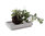 Beton Tablett Teller eckig minimalistisch Zement Schmuck Ring Pflanzen Schale